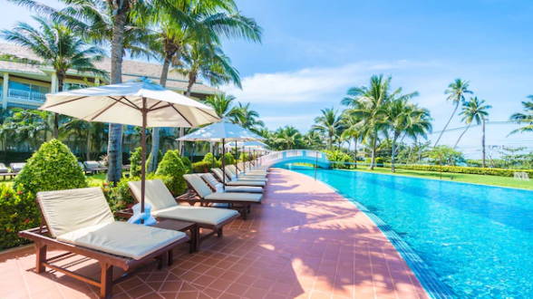 a group of palm trees next to a pool of water