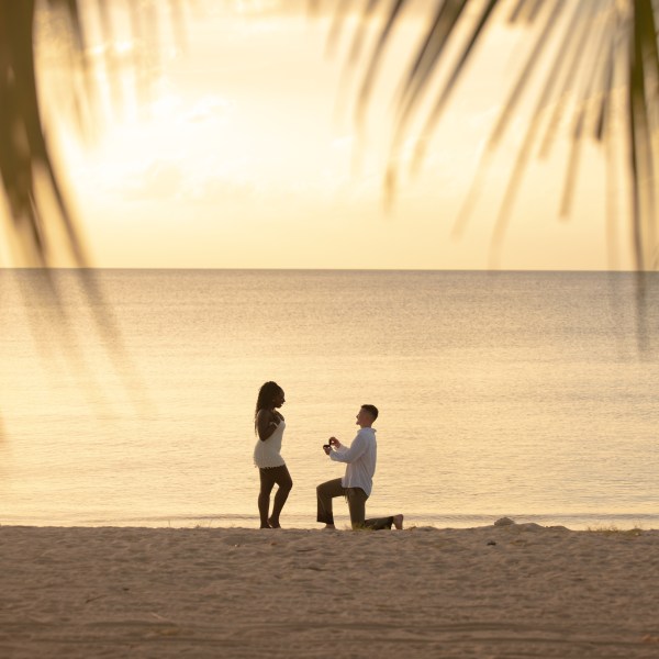 Man kneeling and proposing to woman on beach at sunset, framed by palm leaves.